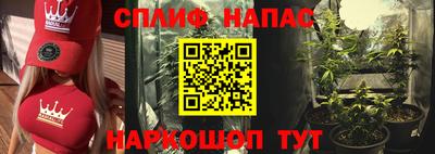 СК Краснодар