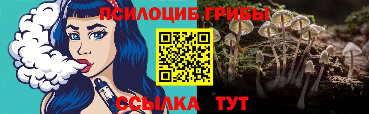 что такое наркотик  Вход с VPN  Егорьевск  Псилоцибиновые грибы Cubensis 