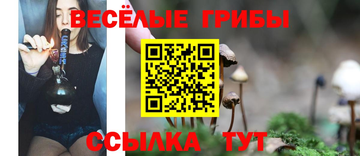 Псилоцибиновые грибы Psilocybine cubensis Егорьевск